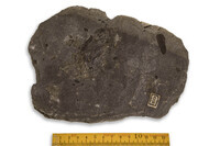 F 02512
<br/>
<br/>
<em></em>